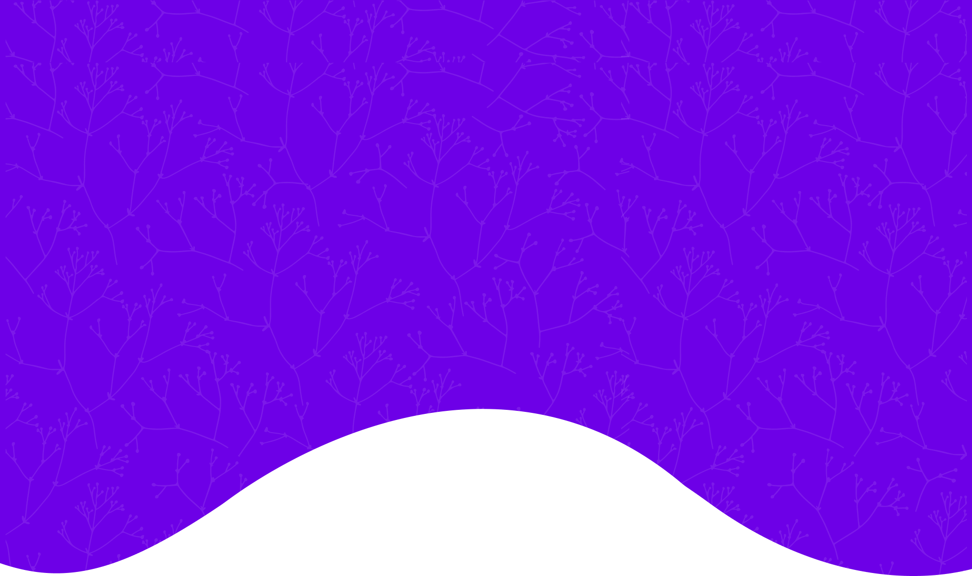 slider-shape3